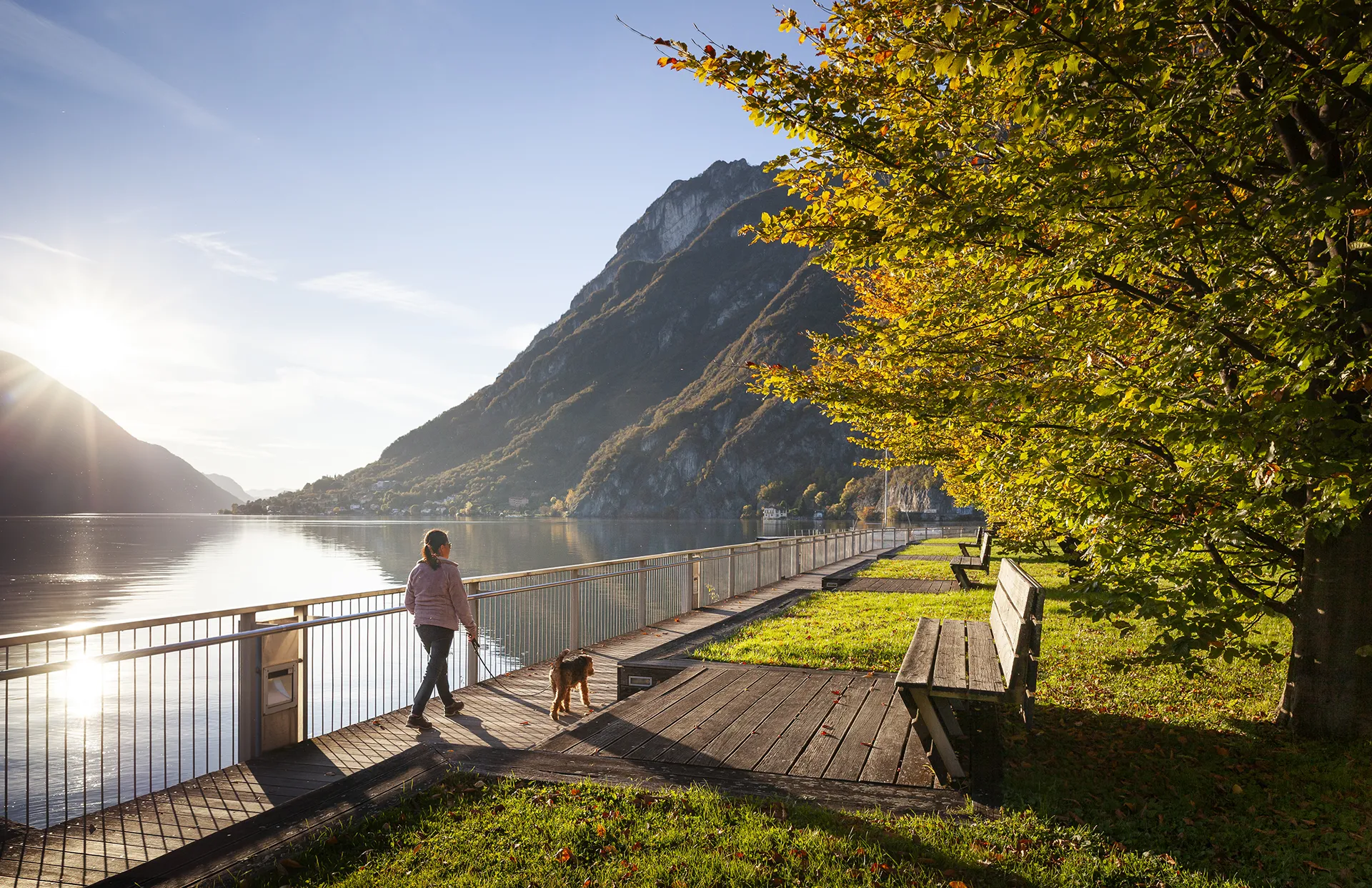 Passeggiata lungo il Lago di Lugano tra alberi e panchine, esperienza quotidiana di benessere e natura.